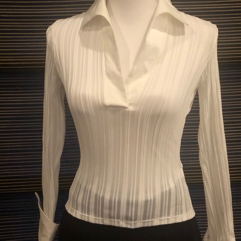 Reduced-well below market FITTED STRETCH BLOUSE